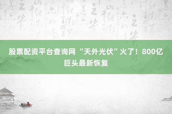 股票配资平台查询网 “天外光伏”火了！800亿巨头最新恢复