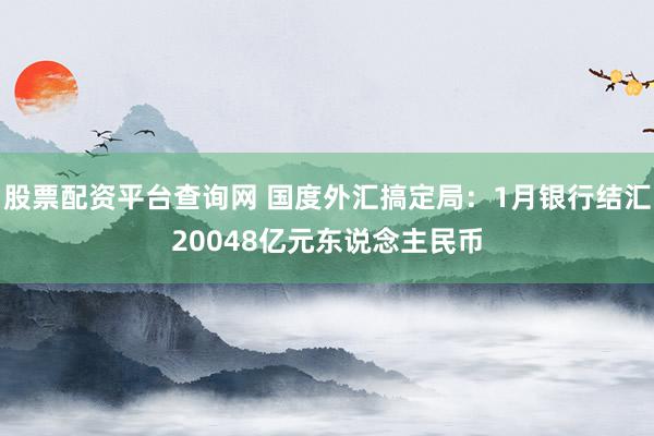 股票配资平台查询网 国度外汇搞定局：1月银行结汇20048亿元东说念主民币