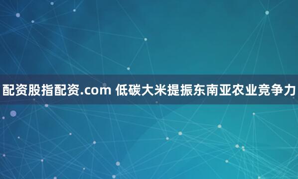 配资股指配资.com 低碳大米提振东南亚农业竞争力